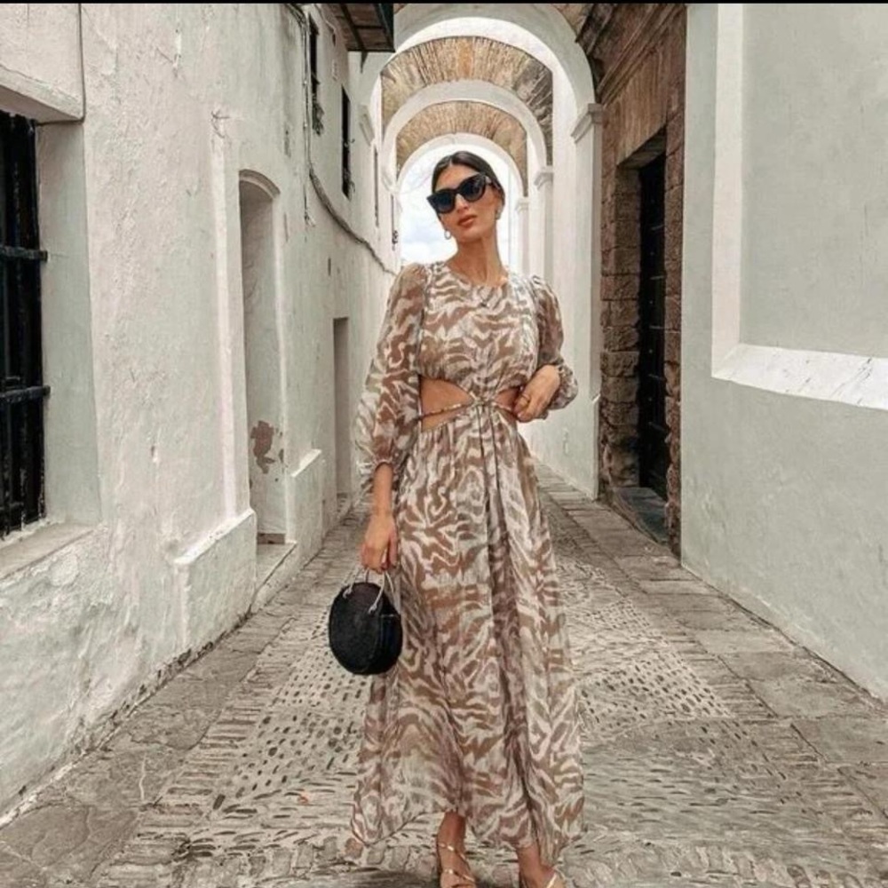 Zara Chic Zebra Print Maxi Dress